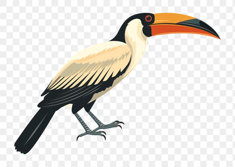 PNG Hornbill wildlife toucan animal. AI generated Image by rawpixel.