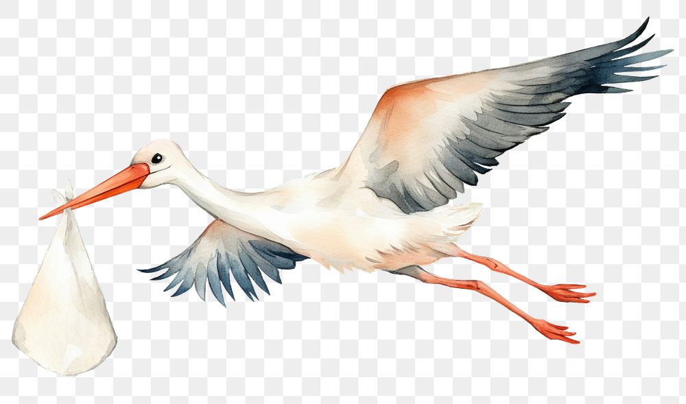 PNG Crane and baby, watercolor illustration, transparent background