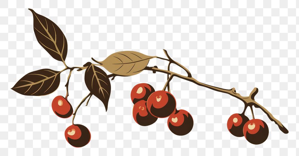 PNG Coffee cherries growing cherry plant food. AI generated Image by rawpixel.