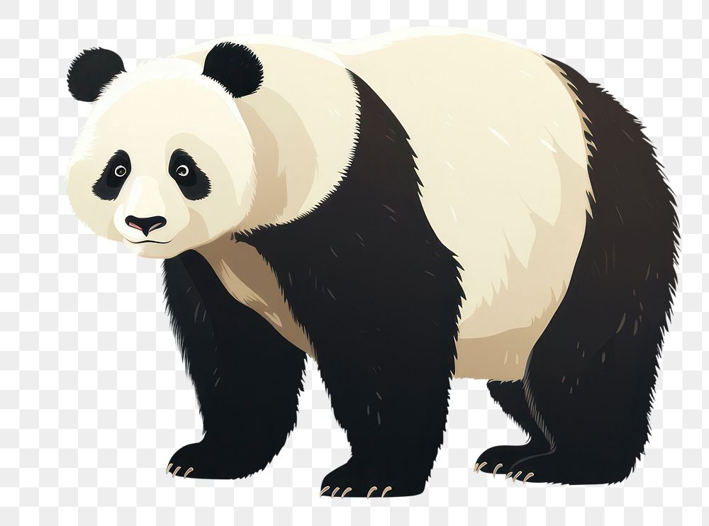 PNG Panda wildlife animal mammal. AI generated Image by rawpixel.