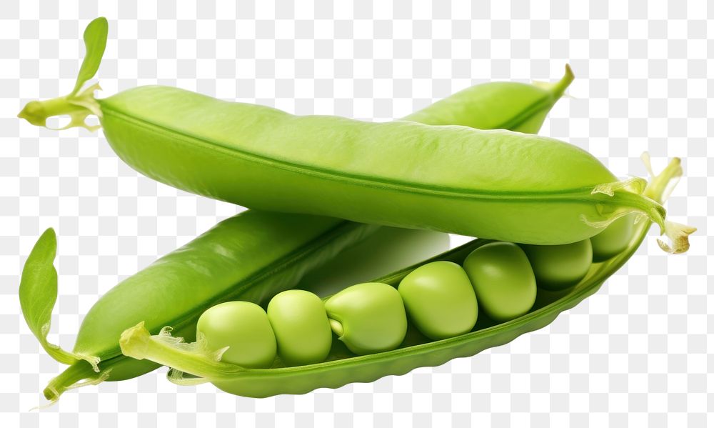 PNG Pea vegetable plant food. AI generated Image by rawpixel.