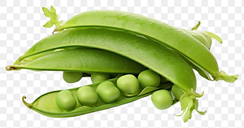 PNG Pea vegetable plant food. AI generated Image by rawpixel.