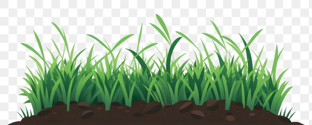 PNG Grass soil outdoors nature. AI generated Image by rawpixel.