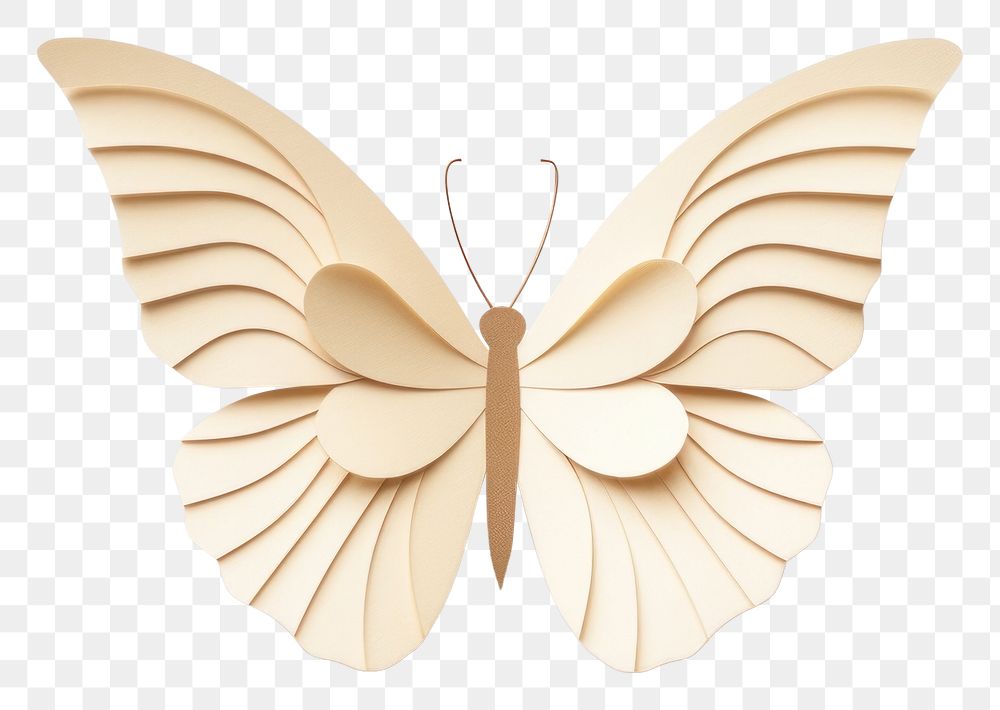PNG Butterfly animal white white background. AI generated Image by rawpixel.