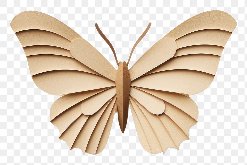 PNG Butterfly insect animal paper. AI generated Image by rawpixel.