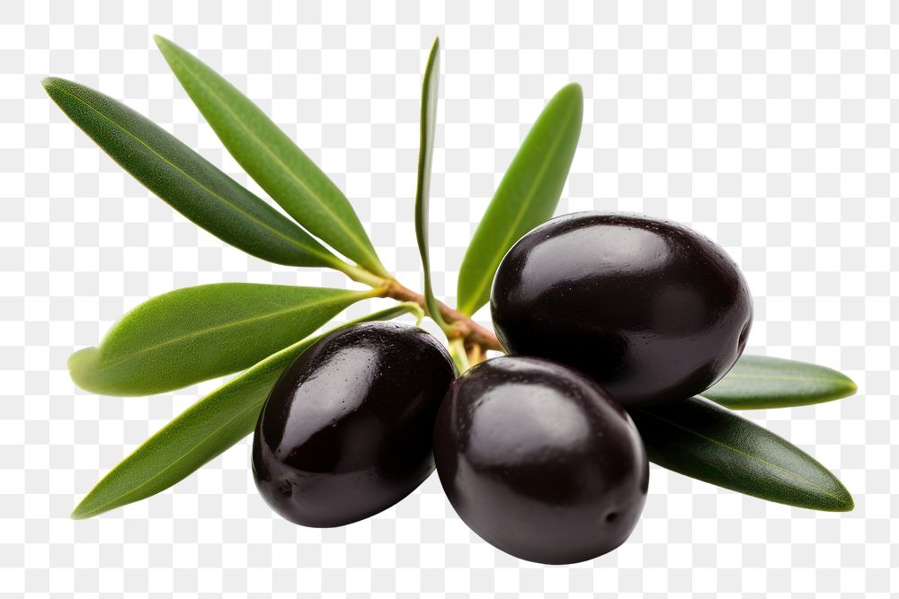 PNG Olives plant food huckleberry. AI generated Image by rawpixel.