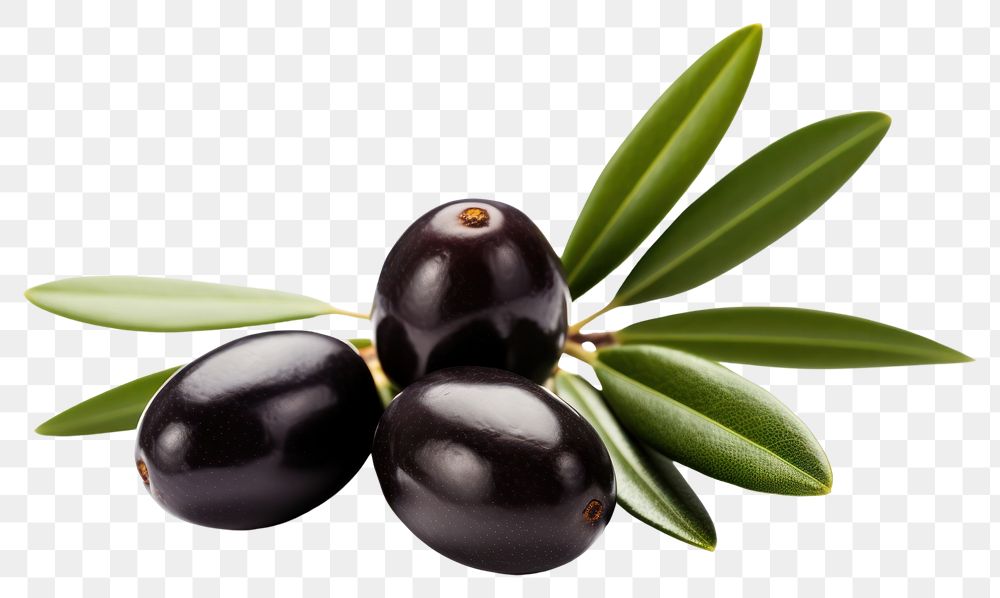 PNG Olives plant food invertebrate. AI generated Image by rawpixel.