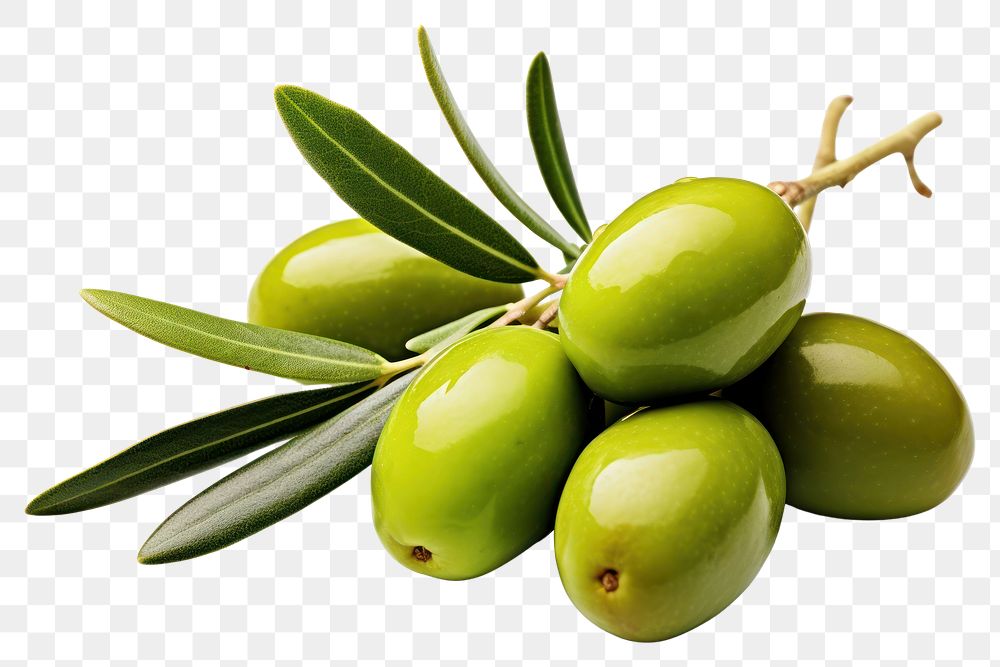 PNG Olives fruit plant food. AI generated Image by rawpixel.