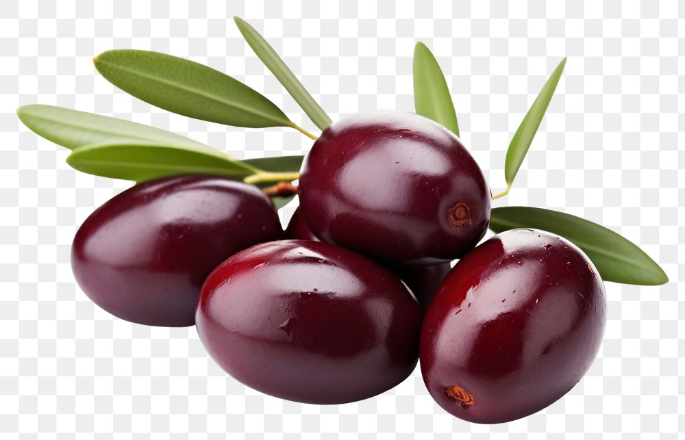 PNG Olives plant food lingonberry. AI generated Image by rawpixel.