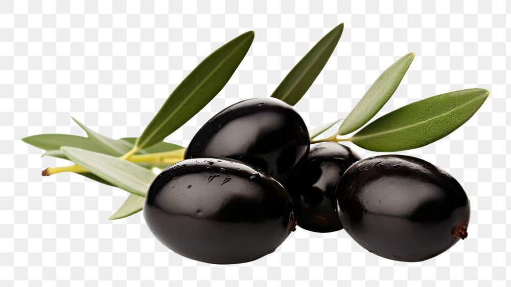 PNG Olives plant food invertebrate. AI generated Image by rawpixel.