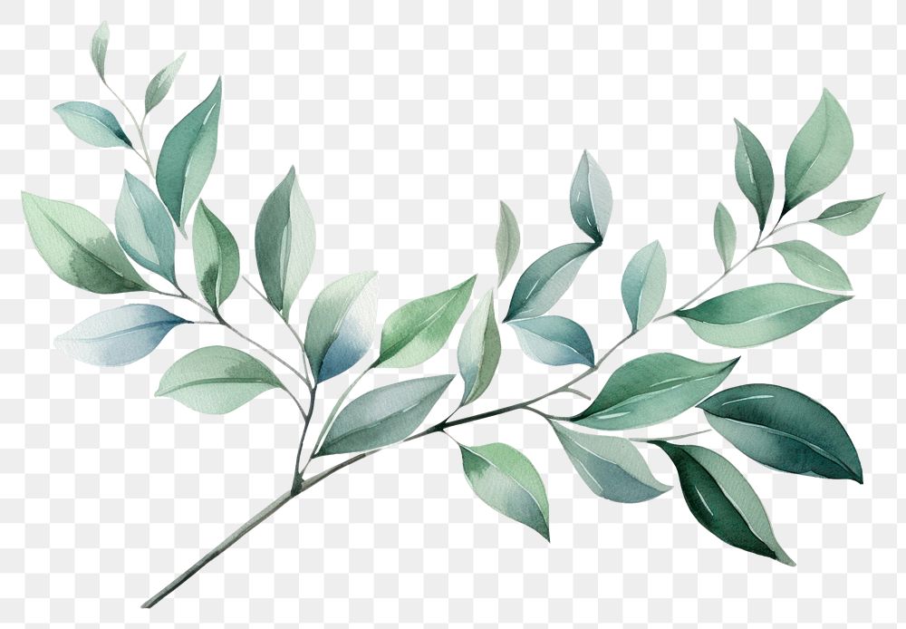 PNG Pattern plant herbs leaf. | Premium PNG - rawpixel