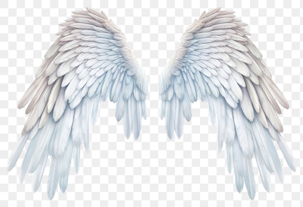 PNG Realistic wings angel feather white.