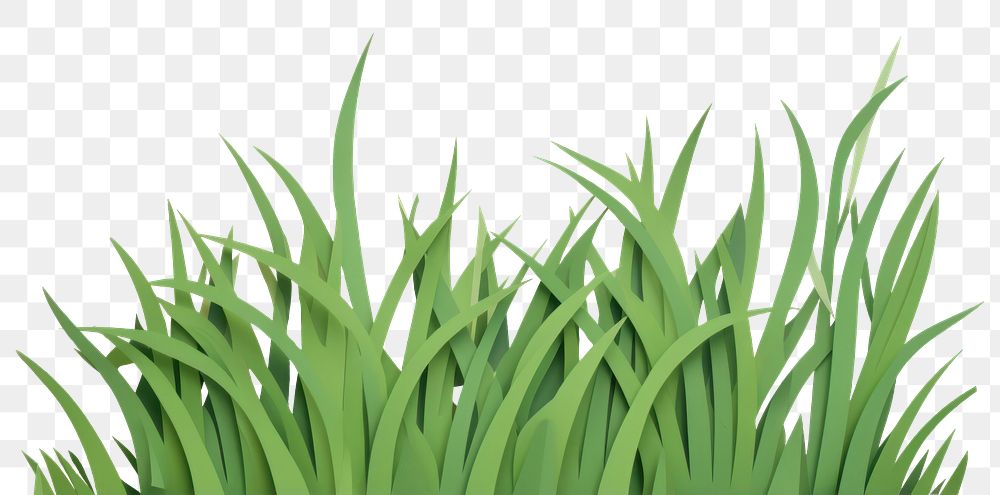 PNG  Lawn grass plant green. AI generated Image by rawpixel.