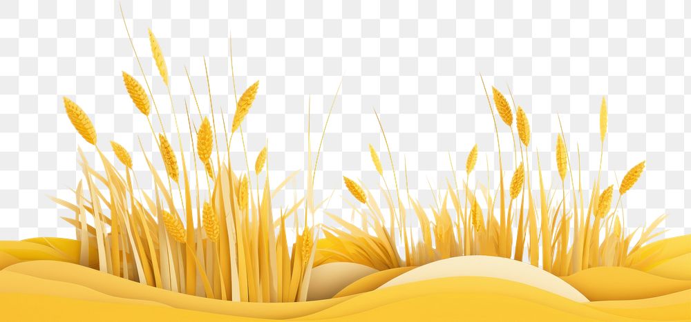 PNG  Yellow grass field backgrounds nature tranquility. AI generated Image by rawpixel.