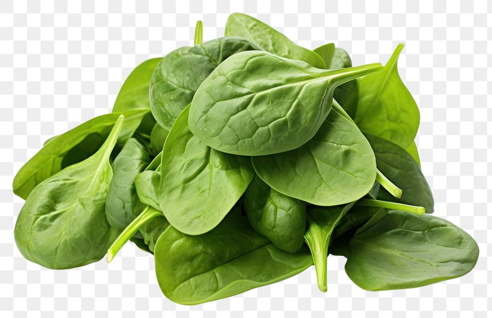 PNG Spinach vegetable plant green. 