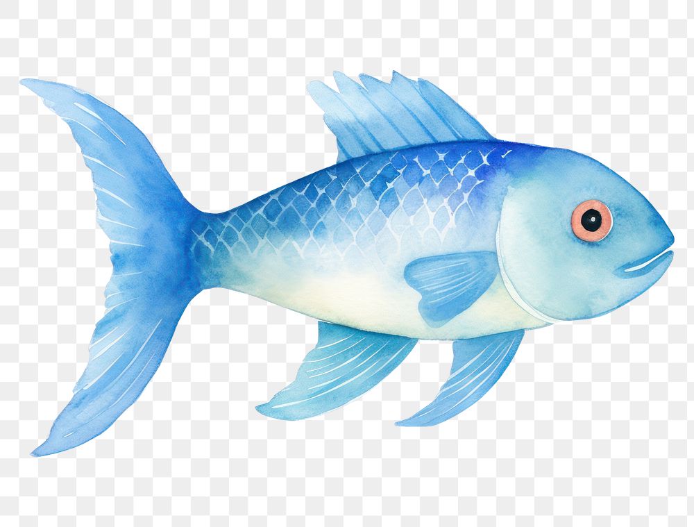 PNG Fish swimming animal white background. AI generated Image by rawpixel.