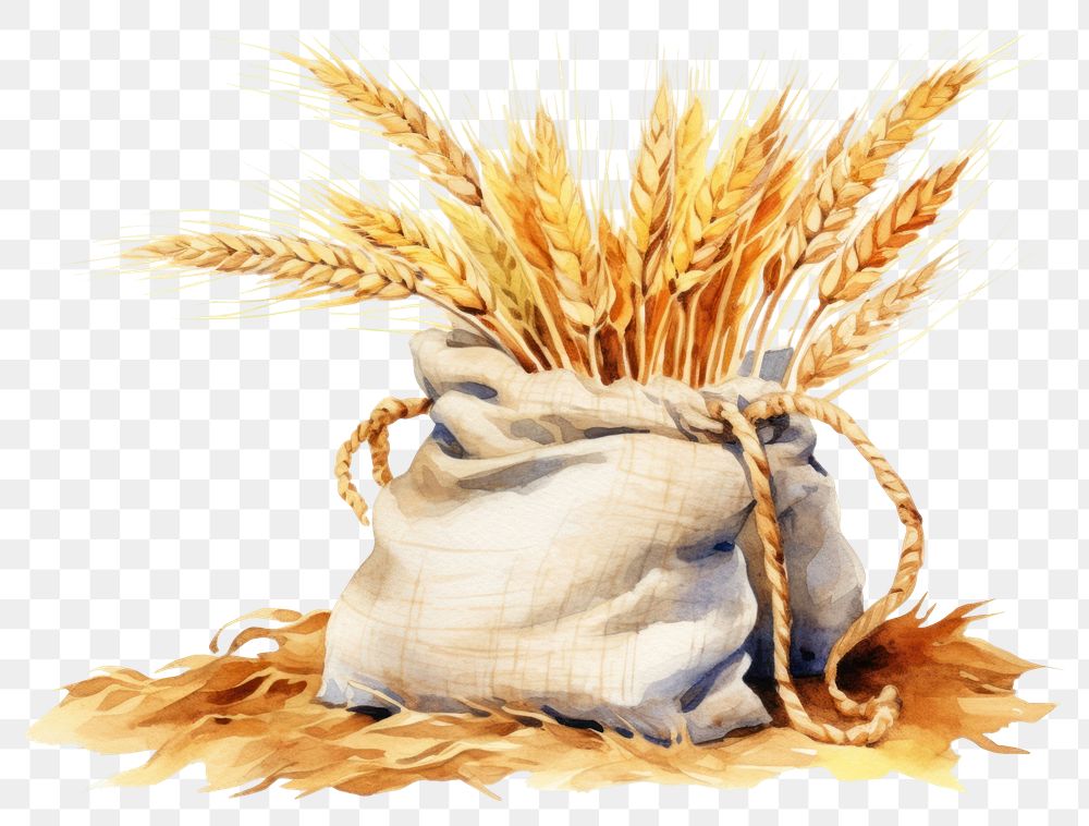 PNG Wheat harvest sack food. AI generated Image by rawpixel.