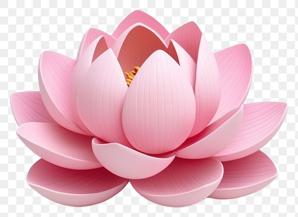 PNG Lotus flower petal plant. AI generated Image by rawpixel.