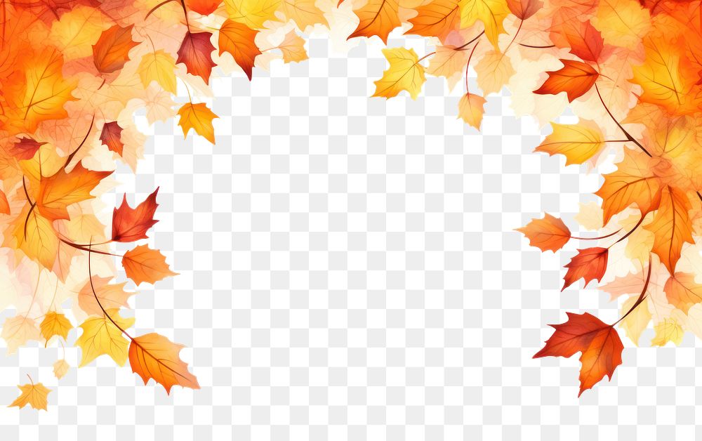 PNG Maple leaves leaf backgrounds falling