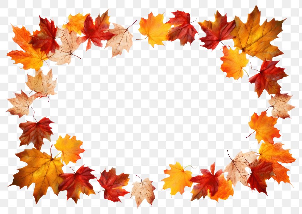 PNG Maple leaves leaf falling autumn. AI generated Image by rawpixel.