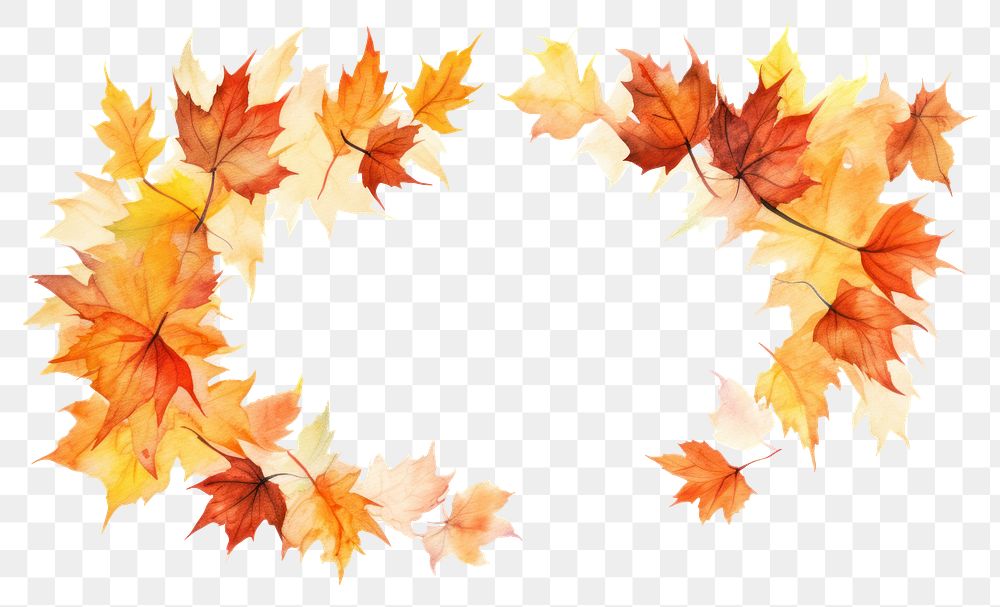 PNG Maple leaves leaf backgrounds falling. 