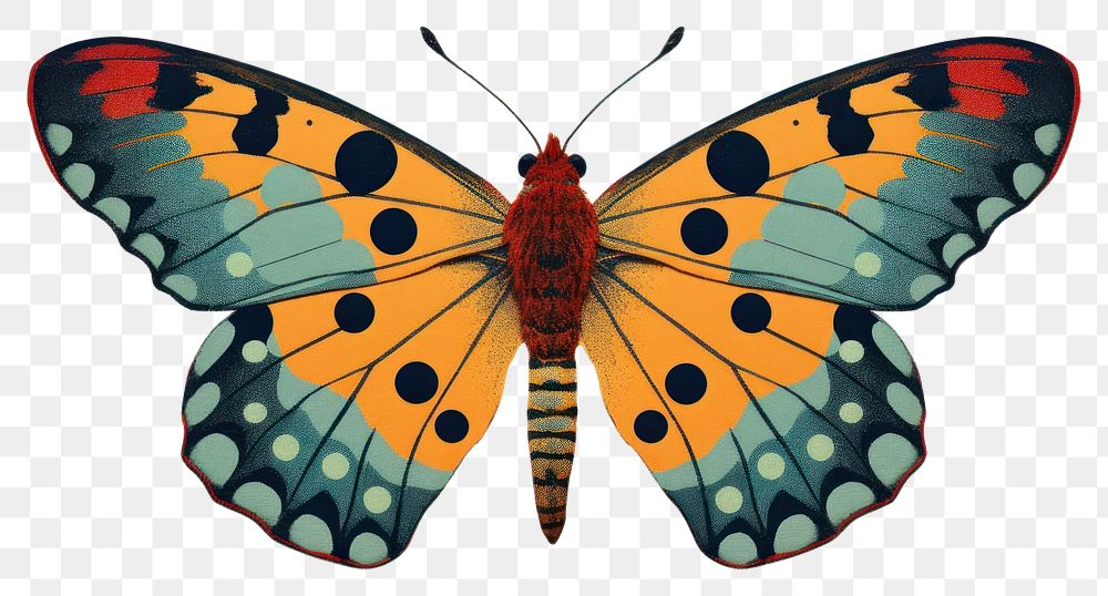 PNG  Lymantria dispar dispar butterfly insect animal. AI generated Image by rawpixel.