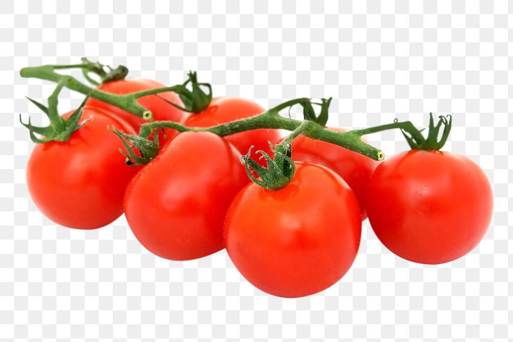 Tomatoes vegetable png, transparent background