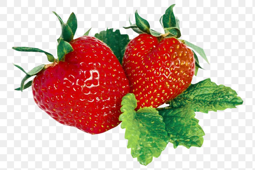 Fresh strawberry fruit png, transparent background