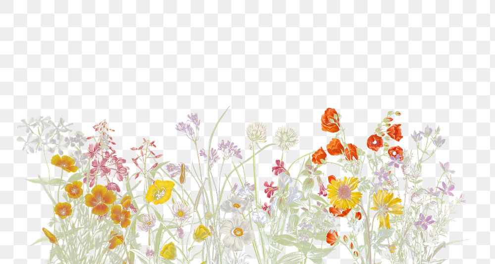 PNG vintage flower sticker, transparent background