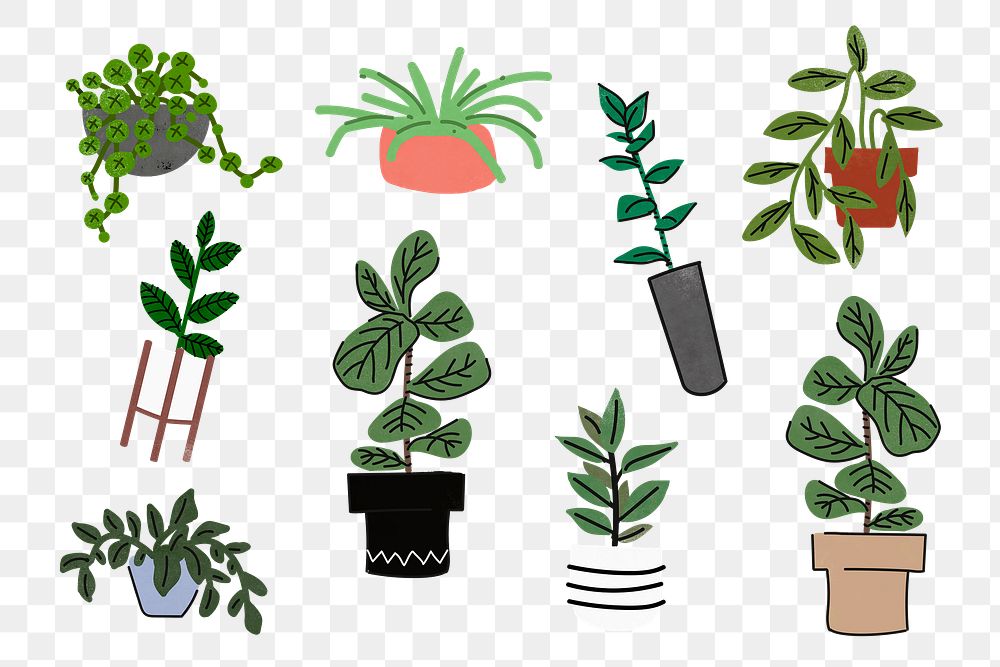 Houseplant doodle png sticker set, transparent background