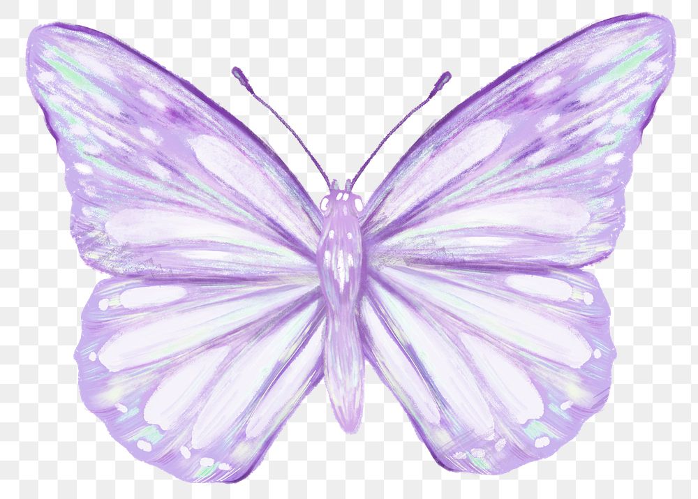 Purple butterfly png sticker, aesthetic illustration on transparent background