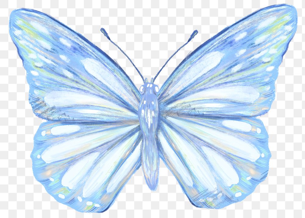 Blue butterfly png sticker, aesthetic illustration on transparent background