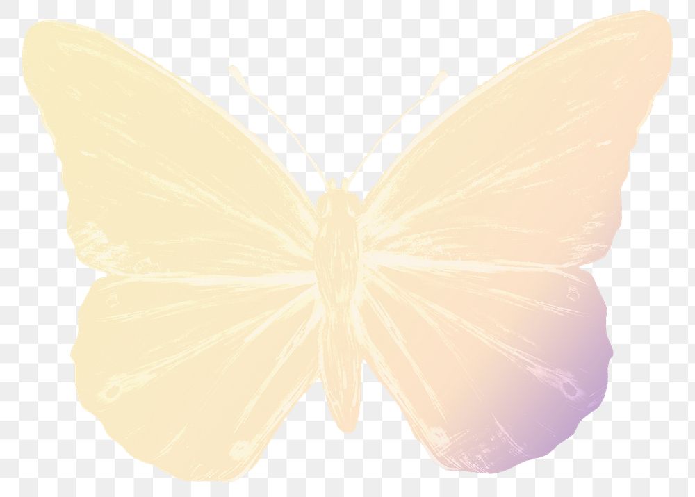 Yellow butterfly png sticker, aesthetic illustration on transparent background