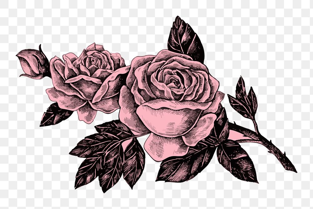 Vintage rose flower png illustration, transparent background