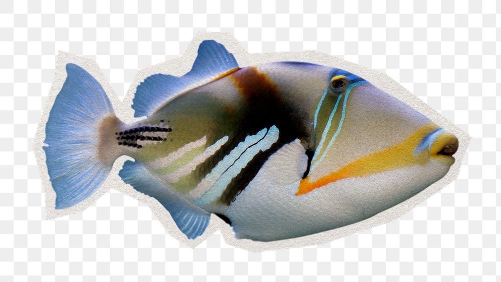 Png triggerfish, sea life sticker, paper cut on transparent background