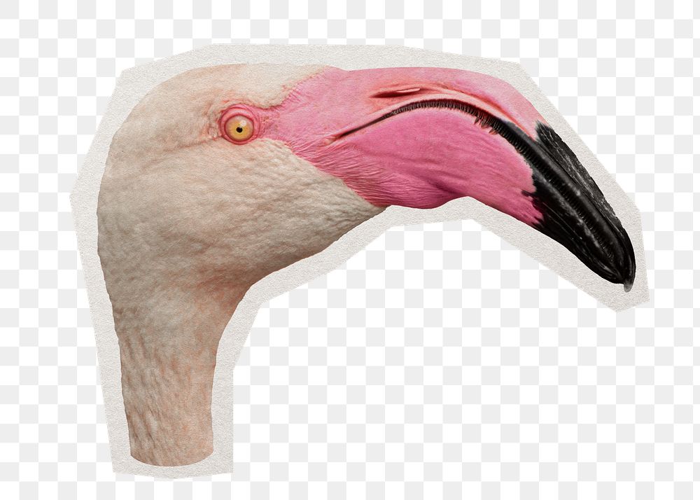 Flamingo head png bird sticker, paper cut on transparent background