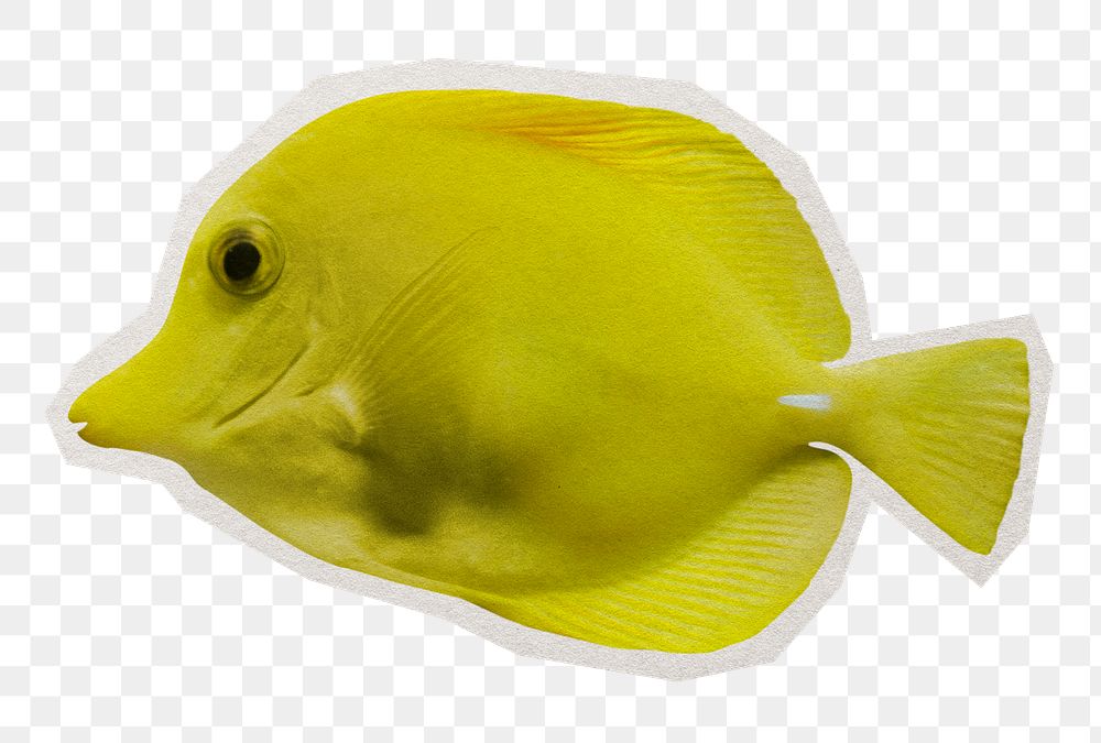 Yellow fish png sticker, paper cut on transparent background