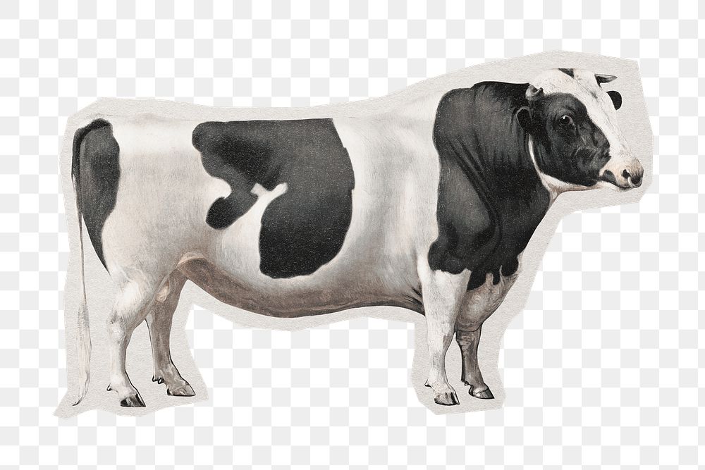 Aesthetic cow png farm sticker, paper cut on transparent background