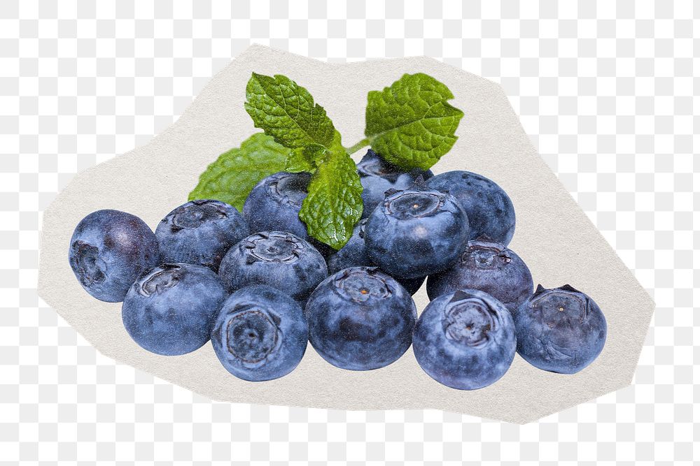 Blueberry  png fruit sticker, paper cut on transparent background