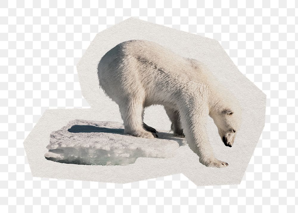 Polar bear png sticker, paper cut on transparent background