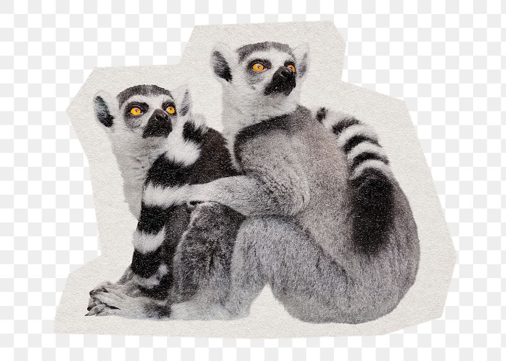 Lemur  png sticker, paper cut on transparent background
