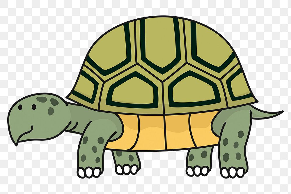 Turtle png illustration, transparent background. Free public domain CC0 image.