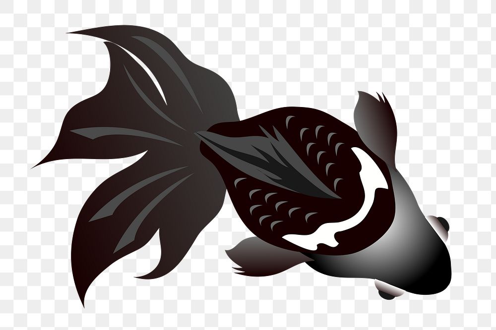 Black moor gold fish png illustration, transparent background. Free public domain CC0 image.