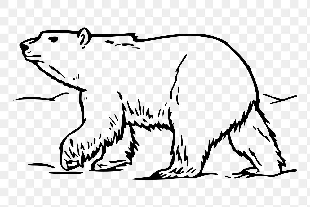 Polar bear png sticker, transparent background. Free public domain CC0 image.