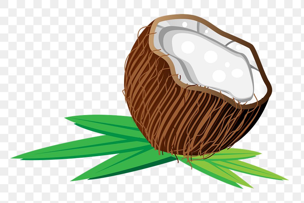Coconut png sticker, transparent background. Free public domain CC0 image.