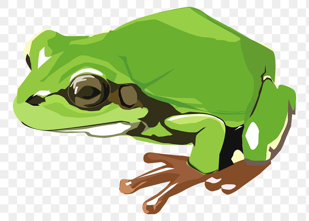 Frog png sticker, transparent background. Free public domain CC0 image.