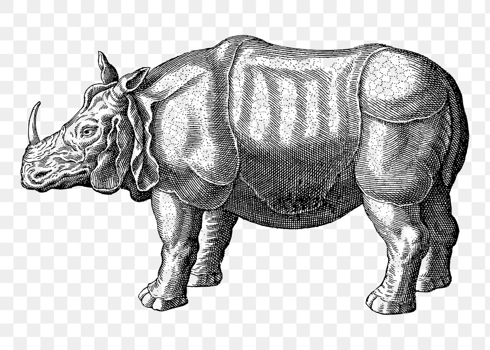 Rhinoceros  png clipart illustration, transparent background. Free public domain CC0 image.