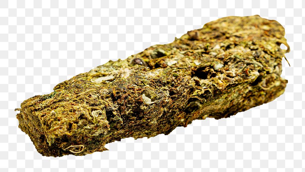Dried weed png sticker, transparent background