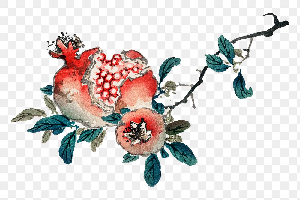 Vintage pomegranate png fruit sticker, transparent background. Remixed by rawpixel.