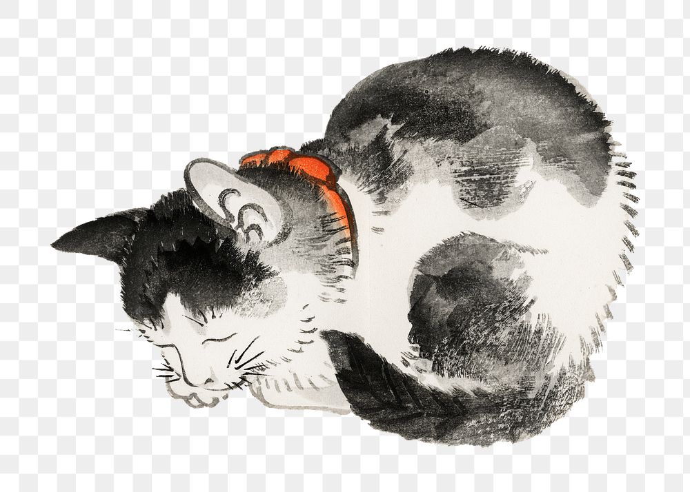 Sleeping cat png sticker, vintage animal illustration transparent background. Remixed by rawpixel.